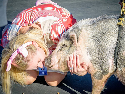 Fun principal incentives to motivate students: kiss a pig