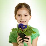Green Fundraising