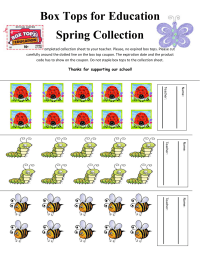 English Version 30 ct. Spring Insect/Bug collection sheet