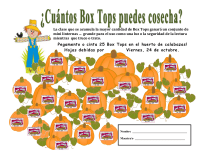 pumpkin patch collection sheet - 25 ct - SPANISH