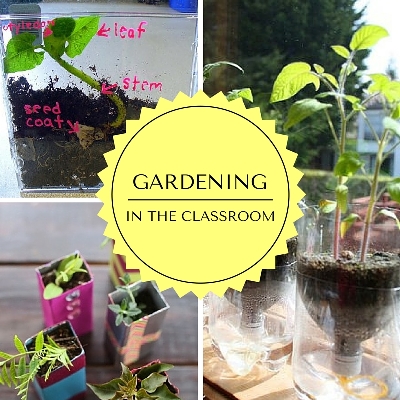 Classroom Gardening Activities - PTO Today